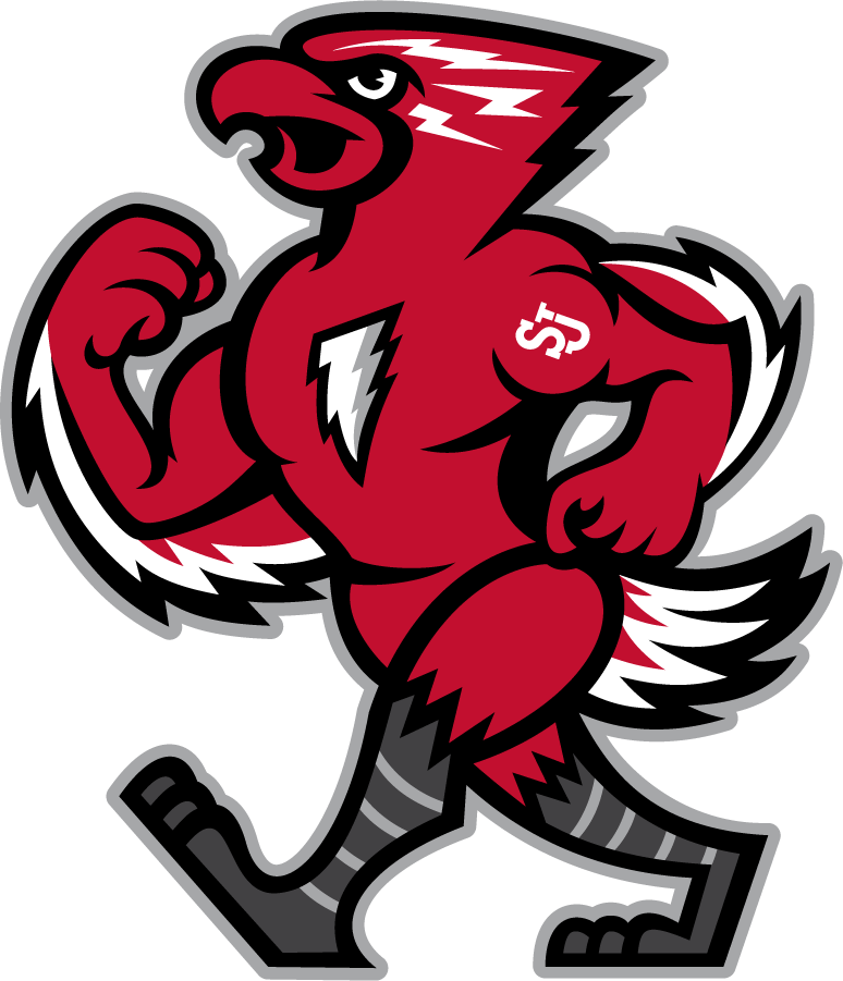 St. John's Red Storm 2015-Pres Mascot Logo t shirts iron on transfers